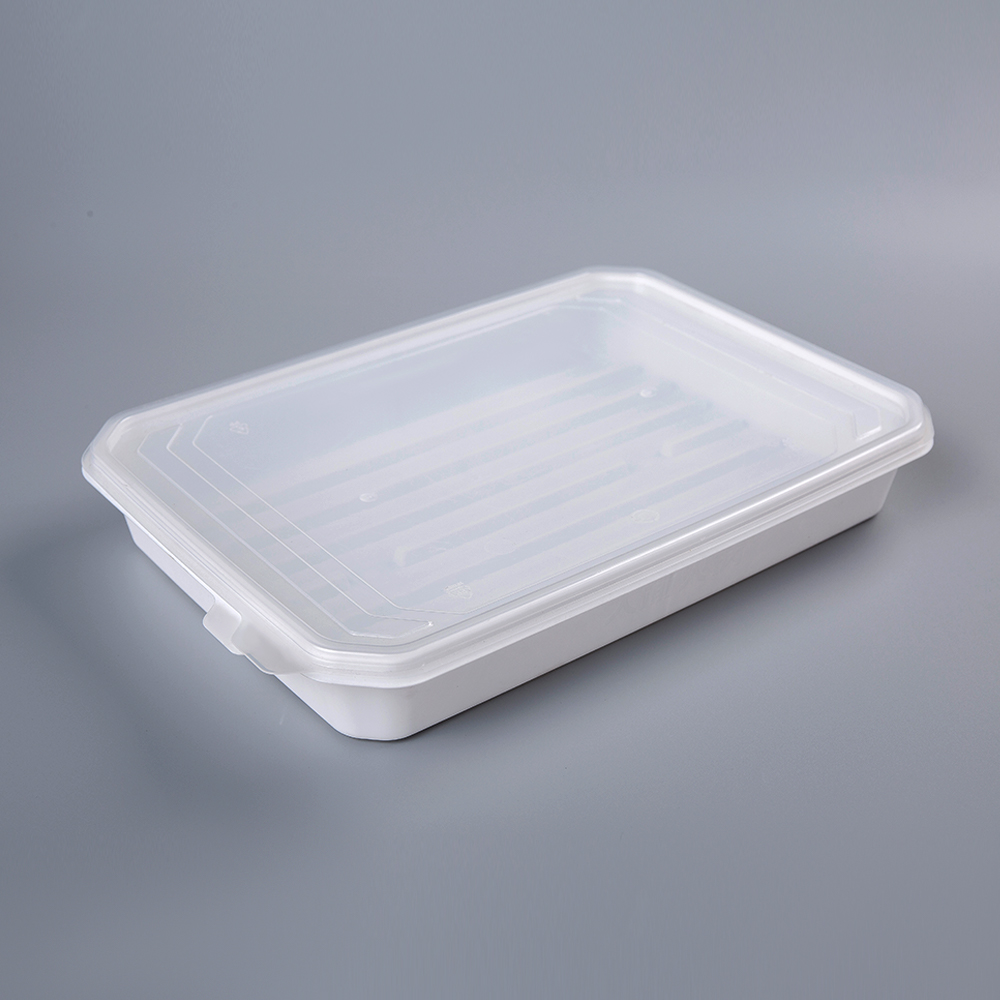 Plastic Rectangular Lunch Box