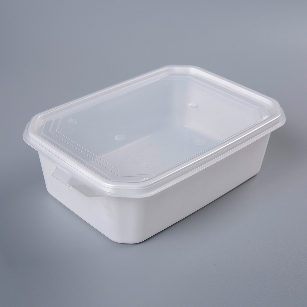 Plastic Rectangular Lunch Box