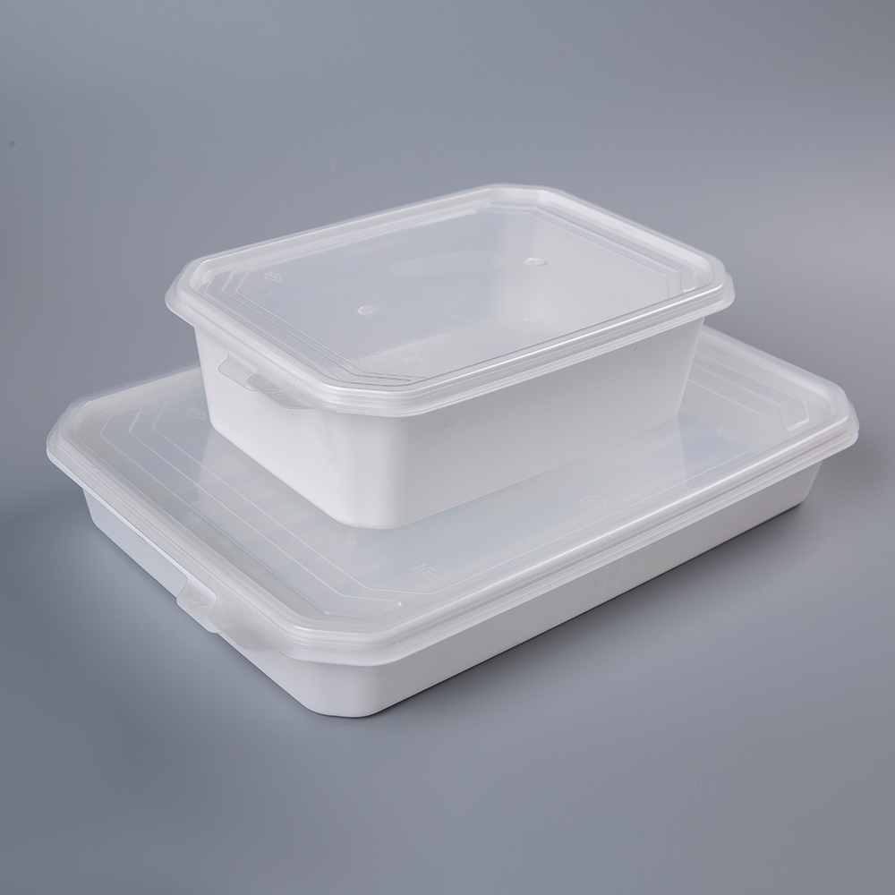 Plastic Rectangular Lunch Box