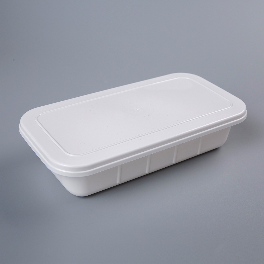 Plastic Rectangular Lunch Box