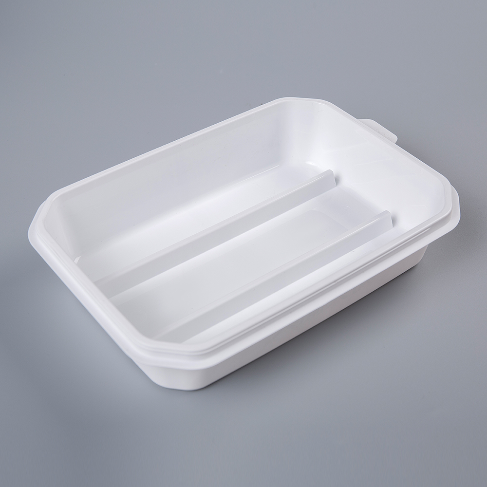 Plastic Rectangular Lunch Box